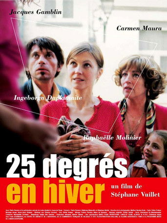 25 Degrees in Winter poster