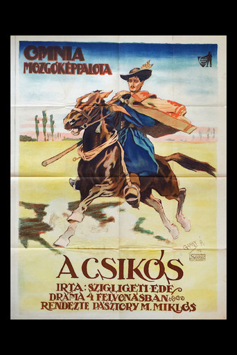 Movie poster for A csikós (1917)