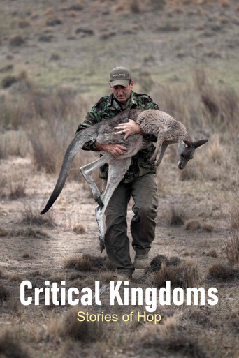 Critical Kingdoms - Stories of Hope poster