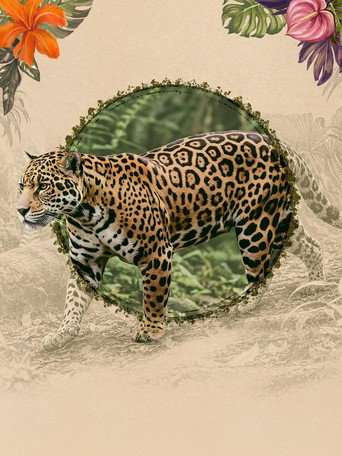 Series poster for Rescue Center (2026)