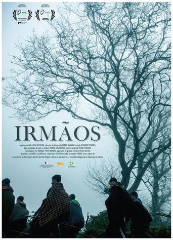 Movie poster for Irmãos (2015)