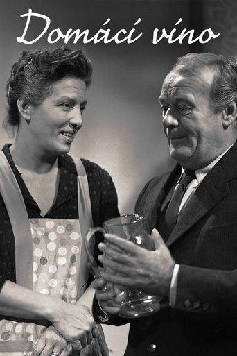 Domácí víno poster