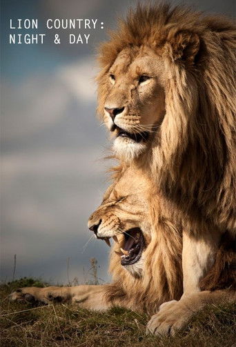 Lion Country: Night and Day poster