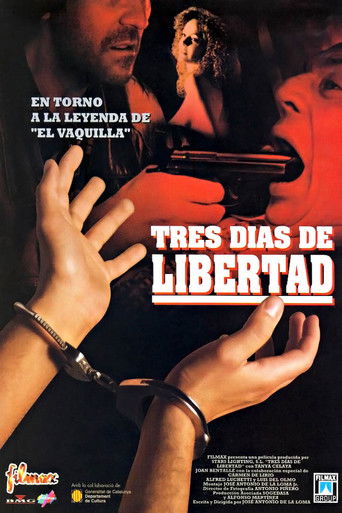 Tres días de libertad poster