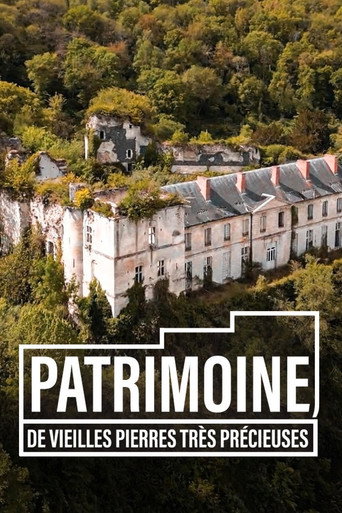 Movie poster for Patrimoine, de vieilles pierres très précieuses (2023)