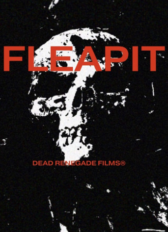 Movie poster for Fleapit (2024)