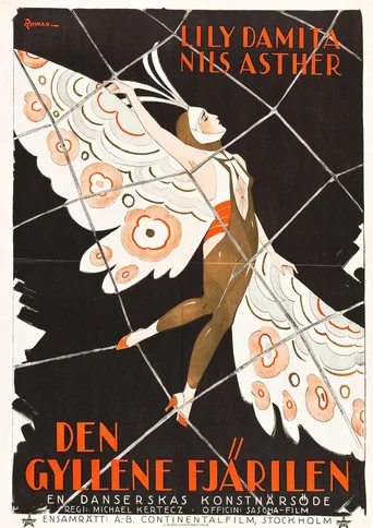 Movie poster for The Golden Butterfly (1926)