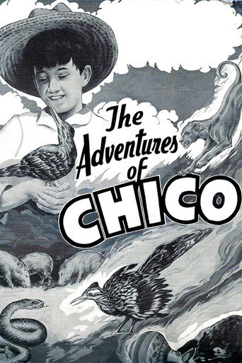Movie poster for The Adventures of Chico (1938)