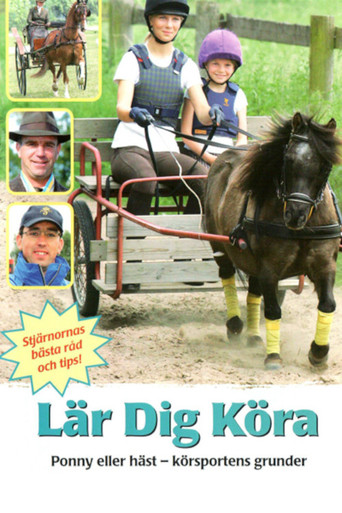 Movie poster for Lär dig köra (2007)