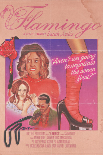 Movie poster for Flamingo (2025)