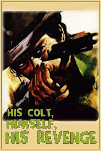 Movie poster for His Colt, Himself, His Revenge (1973)
