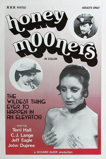 Movie poster for The Honeymooners (1976)