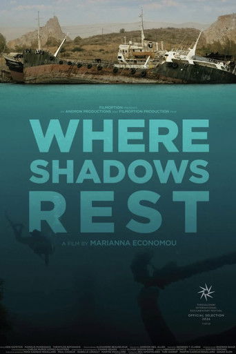 Where Shadows Rest poster