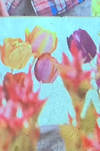 Movie poster for jolies fleurs une vie meilleure (2024)
