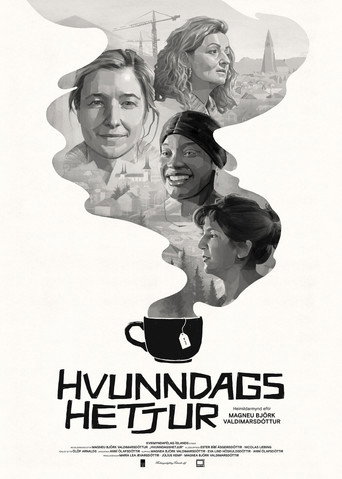 Movie poster for Are You Icelandic? (2021)