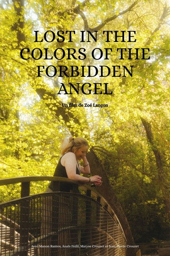 Lost in the colors of the forbidden angel poster