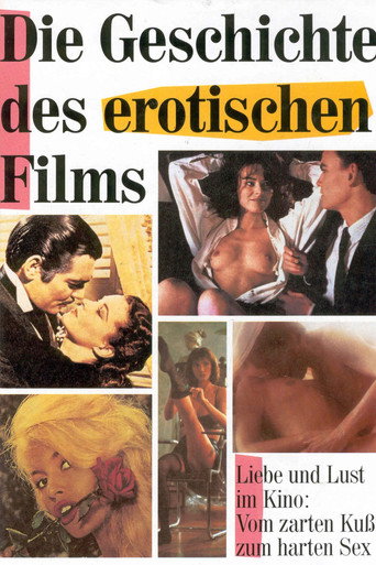 Movie poster for The Story of Erotic Film (2004)