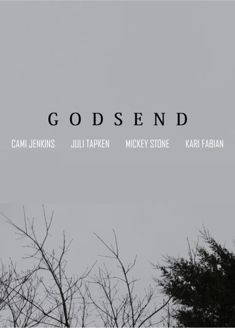 Movie poster for Godsend (2016)