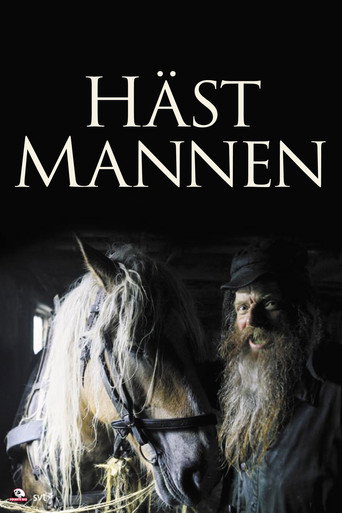 Movie poster for The Horseman (2006)