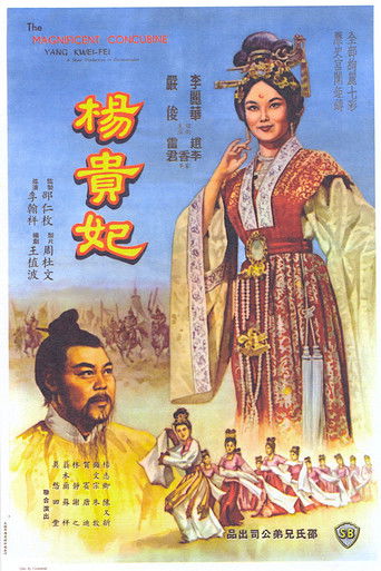 The Magnificent Concubine poster