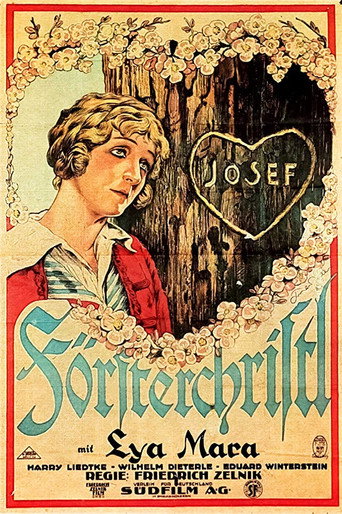 Movie poster for The Bohemian Dancer (1926)