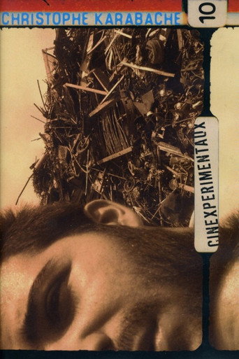 Movie poster for Cinexpérimentaux #10: Christophe Karabache (2013)