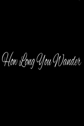 Movie poster for How Long You Wander (2019)