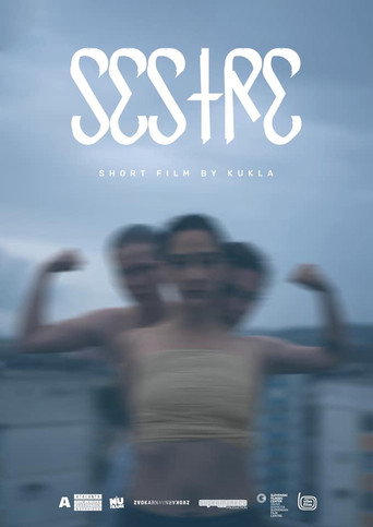 Movie poster for Sisters (2021)