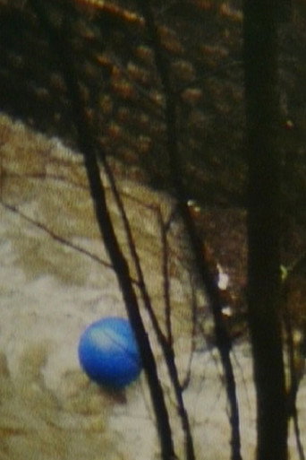 Movie poster for Blue Air Balloon (1980)