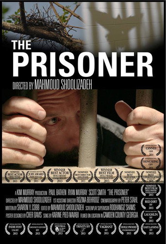 Movie poster for The Prisoner (2013)