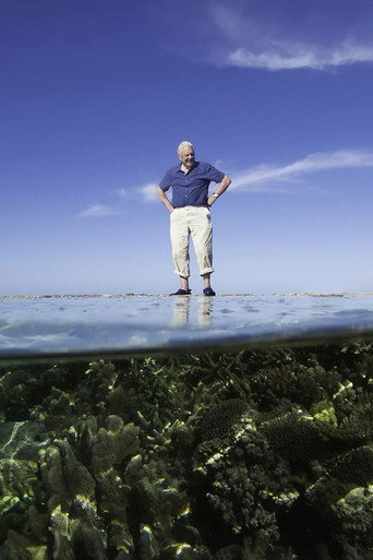 Movie poster for Reef Diaries (2015)