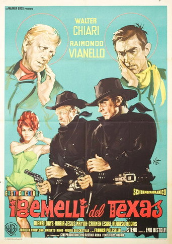 Twins from Texas poster