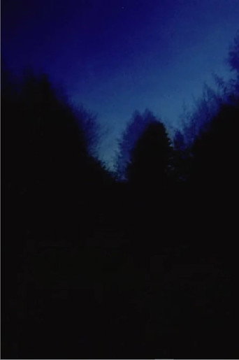 Movie poster for Brouillard #2-12-6 (2011)