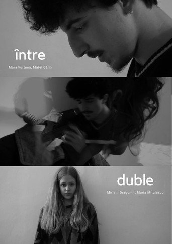 Movie poster for Între duble (2023)