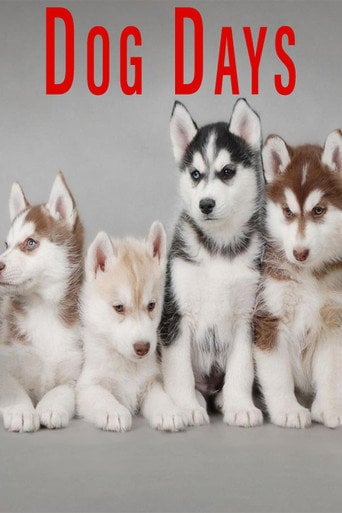 Movie poster for Dog Days (2016)