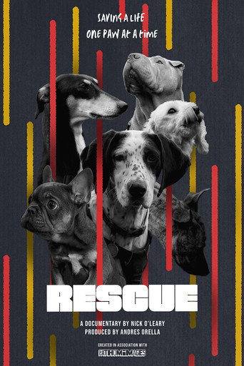 Movie poster for RESCUE (2024)