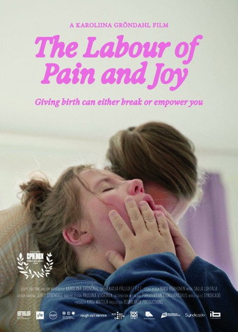 Movie poster for The Labour of Pain and Joy (2024)