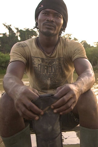 Movie poster for Galamsey: For a Fistful of Gold (2017)