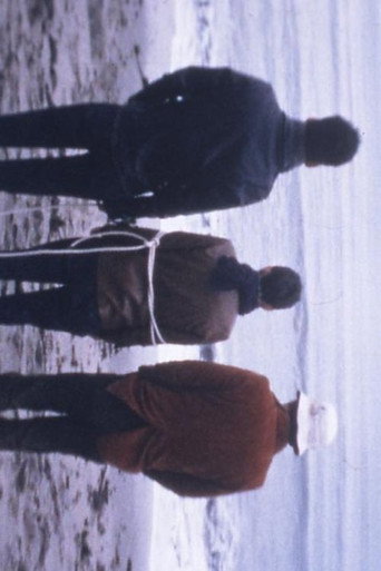 Movie poster for バッド デット (1998)