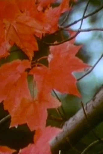 Movie poster for Discovery in a Landscape (1970)
