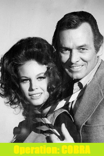 O'Hara, United States Treasury: Operation Cobra poster