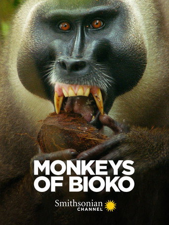 Movie poster for Monkeys of Bioko (2020)