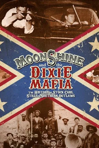 Series poster for Moonshine and the Dixie Mafia (2014)