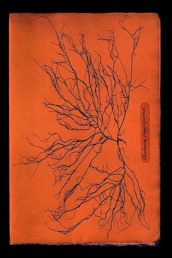 Movie poster for Ghost Protists (2024)