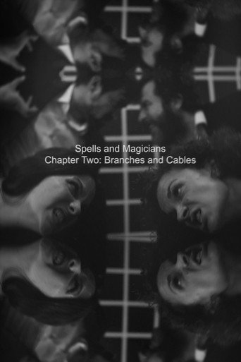 Movie poster for Spells and Magicians Chapter Two: Branches and Cables (2015)