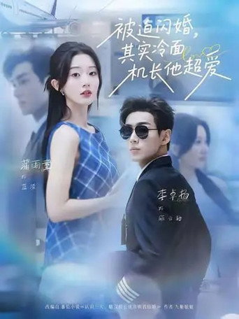 被迫闪婚，其实冷面机长他超爱 poster