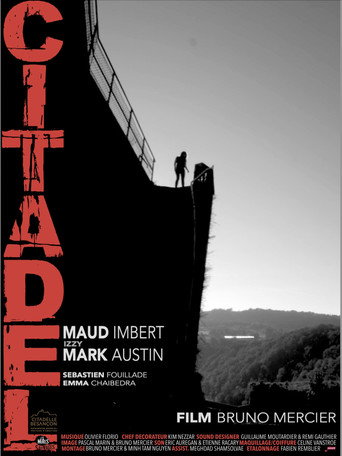 Movie poster for Citadel (2024)