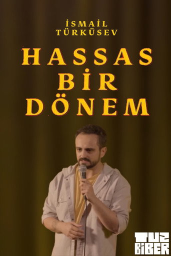 Hassas Bir Dönem - İsmail Türküsev poster