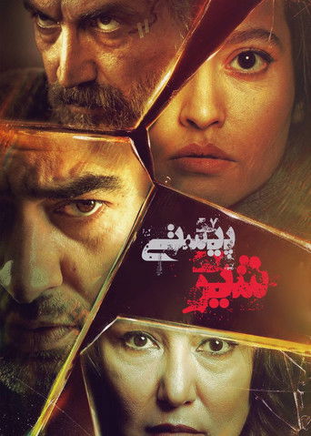 The Lion Skin poster