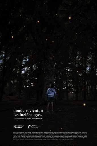 Movie poster for Where the fireflies burst (2024)